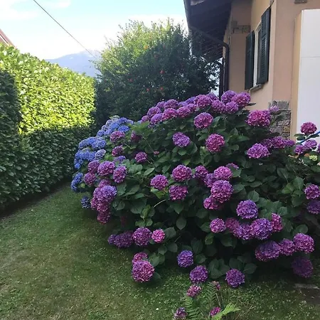 Al Chiar Di Luna Valtellina
