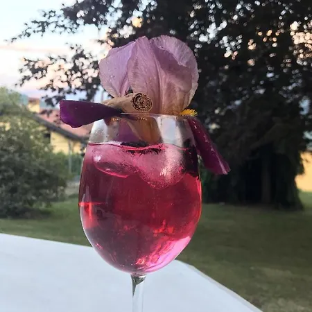 Al Chiar Di Luna Valtellina Frühstückspension Chiuro